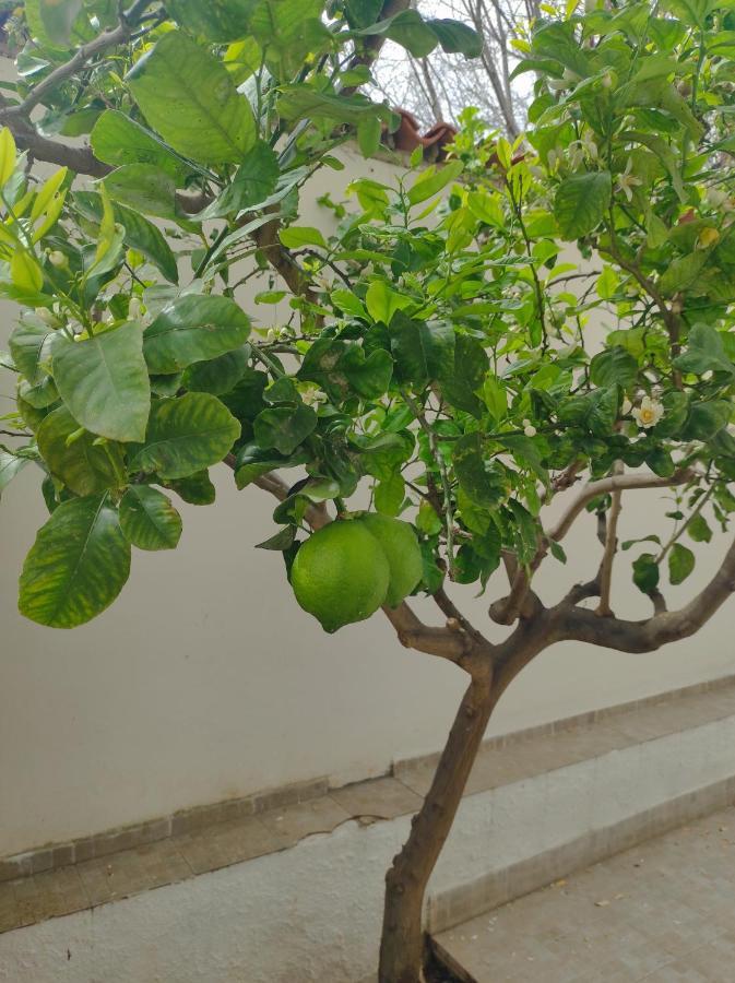 Antigone Holiday House Villa Mondello Bagian luar foto